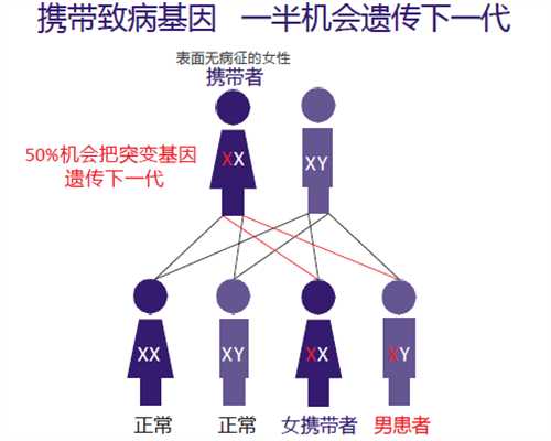 <b>香港验验血微信DNA,备孕期间这么吃,能帮准妈妈多攒＂孕气＂,告别不孕不育的烦</b>