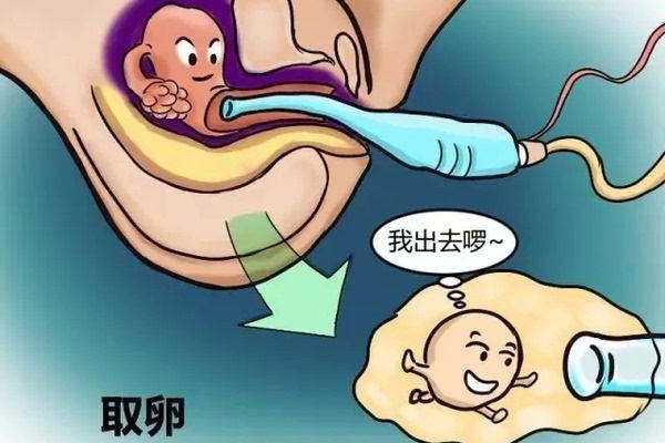 香港验血微信电子报告可信吗,备孕三个月没怀上，是不孕不育吗？