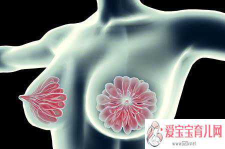 香港验血6周鉴定男女准吗,经期怎么保养乳房